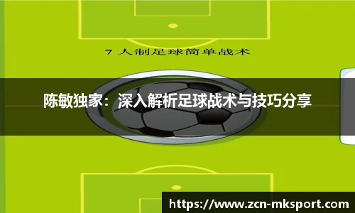 陈敏独家:深入解析足球战术与技巧分享