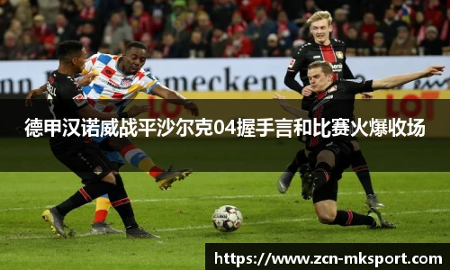 德甲汉诺威战平沙尔克04握手言和比赛火爆收场