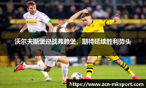 沃尔夫斯堡迎战弗赖堡,期待延续胜利势头