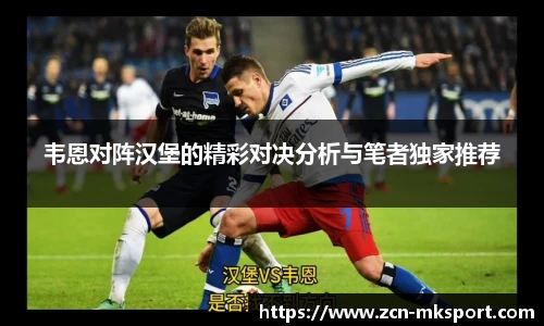 韦恩对阵汉堡的精彩对决分析与笔者独家推荐